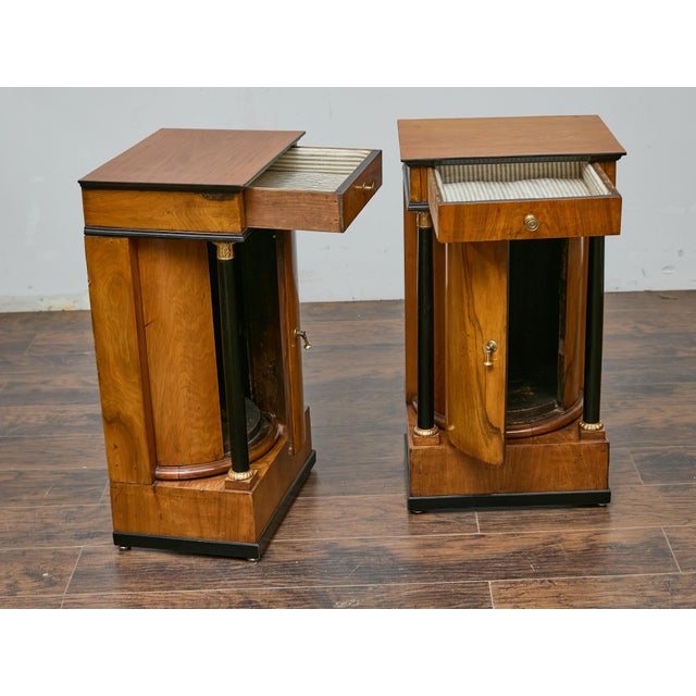 Pair of 19th Century Biedermeier Bedside Cabinets, Walnut and Ebonized Columns For Sale - Image 9 of 12