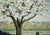 Mid Century Oil Landscape of Santa Clara Valley Before Silicon Valley by Anthony Quartuccio For Sale - Image 4 of 9
