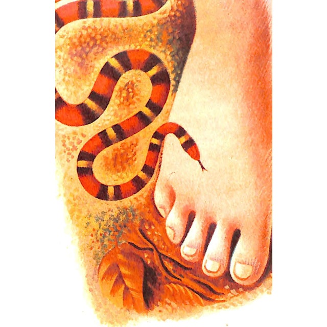 "Green Mansions: A Romance of the Tropical Fruit" 1944 Hudson, w.h. For Sale - Image 9 of 12