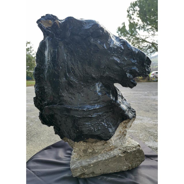Statue Horse Horse in Black Painted Cement, Italy For Sale - Image 9 of 10