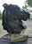 Statue Horse Horse in Black Painted Cement, Italy For Sale - Image 9 of 10