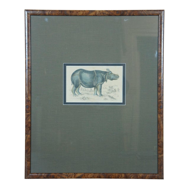 Antique 1842 English Fullarton African Rhino Rhinoceros Engraving, Framed For Sale