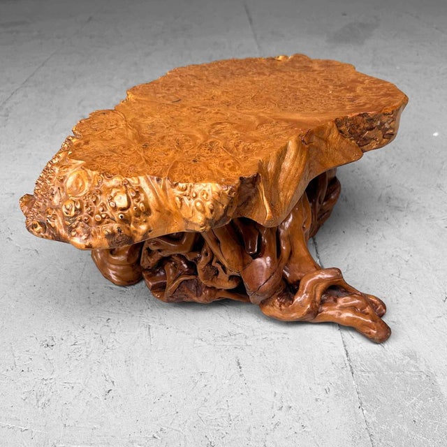 Mid-Century Yakusugi (Yakusugi) Burl Wood Plant Stand, Japan, 1940s For Sale - Image 4 of 14