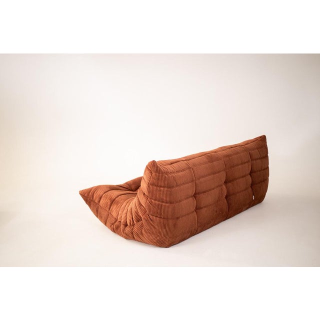 Togo Three-Seater Sofa in Brown Corduroy by Michel Ducaroy for Ligne Roset For Sale - Image 3 of 7