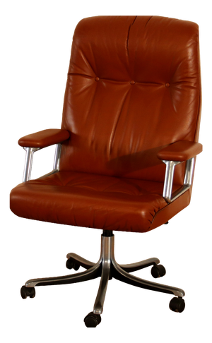 Vintage P126 Executive Office Chair by Osvaldo Borsani for Tecno, 1966