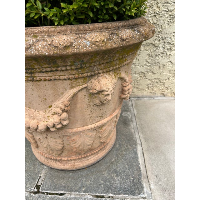 Classic Tuscan Terracotta Planter With Embossed Decoration For Sale - Image 4 of 7