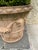 Classic Tuscan Terracotta Planter With Embossed Decoration For Sale - Image 4 of 7