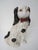 Staffordshire Style English Spaniels Cavalier Comforter Dogs For Sale - Image 4 of 11