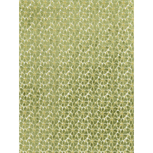 Hinson re-enters the limelight with a show-stopping debut collection under the Scalamandré name. COLOR POP!, a collection...