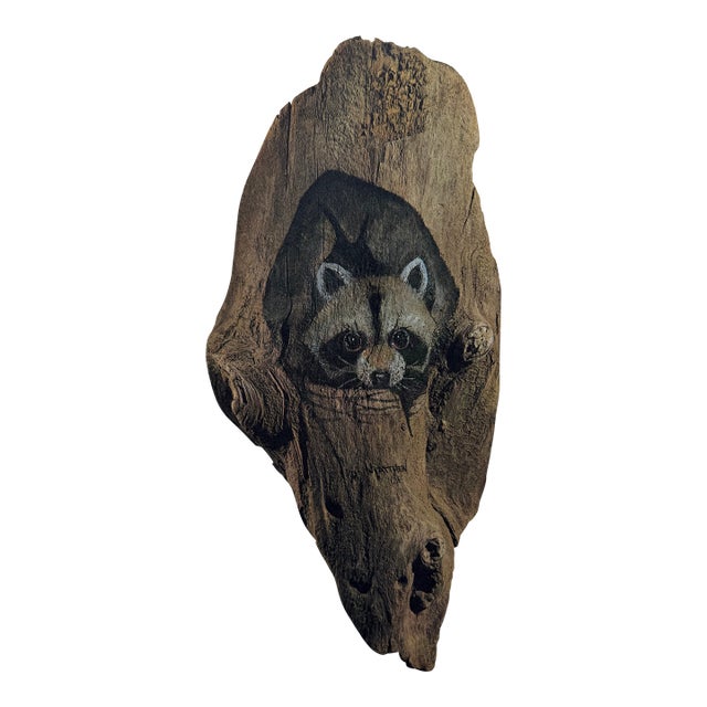 Vintage Lithograph by Brother Matthew Entitled “Peeking” - Raccoon Print For Sale