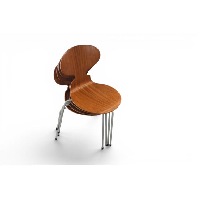 Set of Four Arne Jacobsen Ant Chairs in Teak by Fritz Hansen, 1950s For Sale In San Francisco - Image 6 of 11