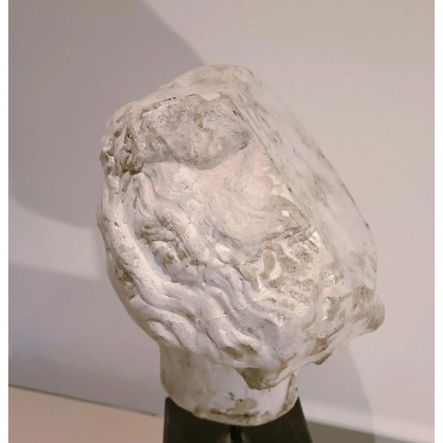 Academic Sculpture Head of Aphrodite, 1950s, Wax For Sale - Image 10 of 12