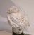 Academic Sculpture Head of Aphrodite, 1950s, Wax For Sale - Image 10 of 12
