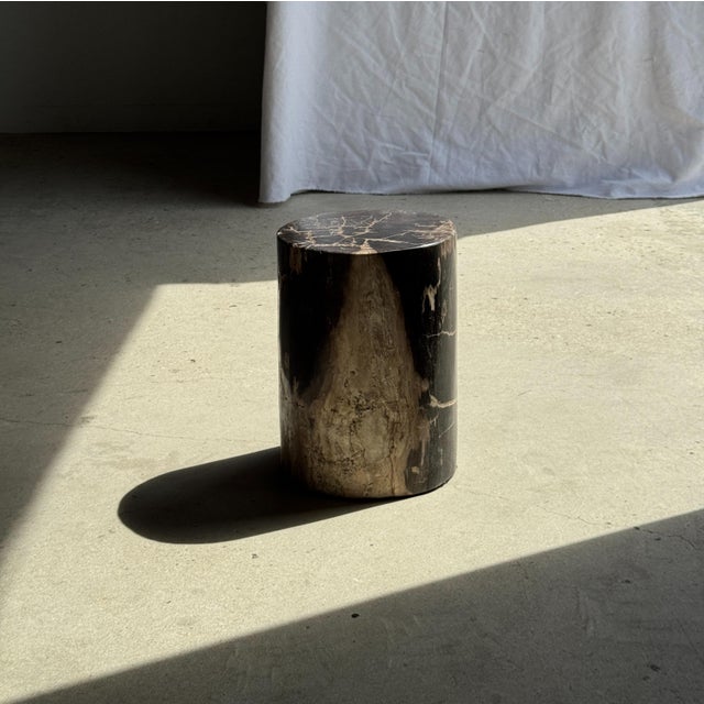 Side Table in Black Petrified Wood with Beige Fine Mesh Pattern For Sale - Image 18 of 18