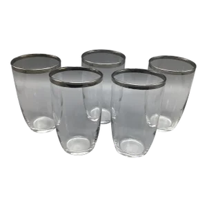 Vintage Mid-Century Modern Crystal Platinum Rim Dorothy Thorpe Tumblers-Set of 5