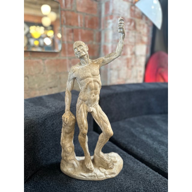 Anatomical Skeletal Cast, Italy 80s For Sale - Image 11 of 12