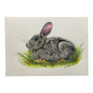 “Bunny in the Grass” Contemporary Original Colored Pencil Drawing by Nancy Smith For Sale