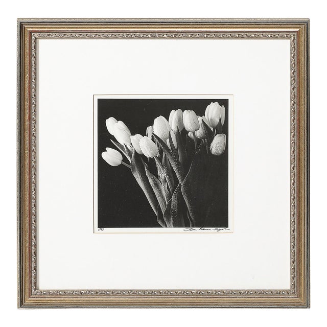 Modernist Black and White Still Life Photograph of Tulips For Sale