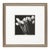 Modernist Black and White Still Life Photograph of Tulips For Sale