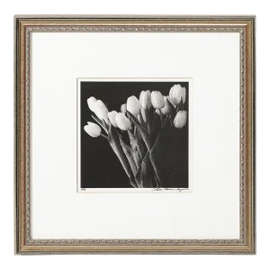 Modernist Black and White Still Life Photograph of Tulips