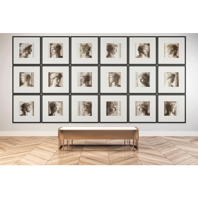 Set of 18 Blurred Antique Profiles — Archival Prints of Restored Antique Photographs For Sale - Image 17 of 18