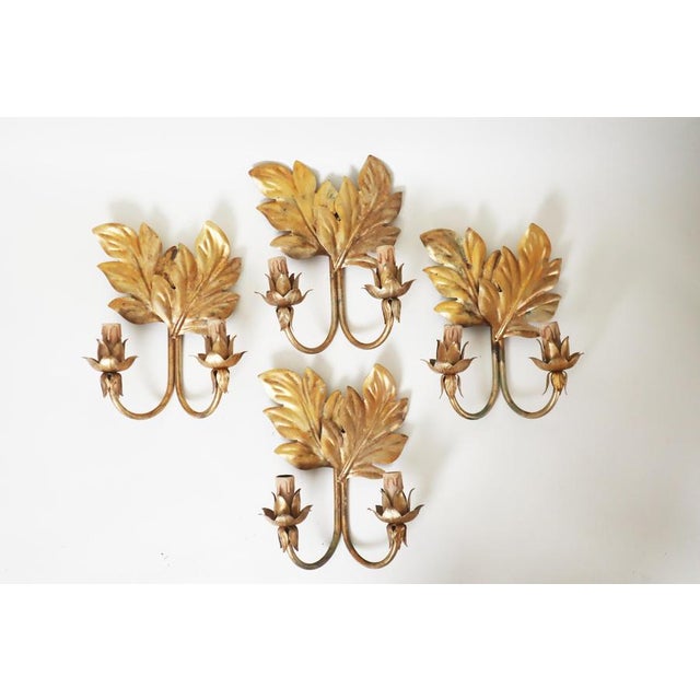 Hollywood Regency Gilt Acanthus Leaf Wall Lights, 1950s, Set of 3 For Sale - Image 15 of 17