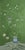 Chinoiserie Green Chinoiserie Silk Wallpaper | Hand-Painted Birds, Flowers Mural For Sale - Image 3 of 3