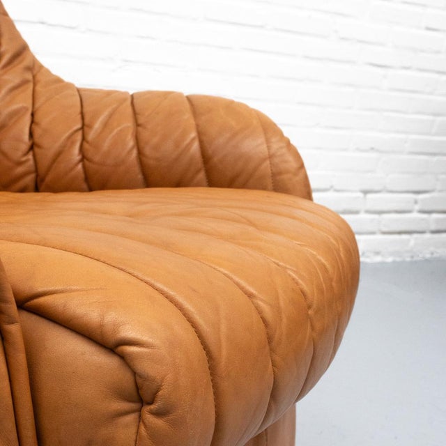 Cypress Armchair by Afra & Tobia Scarpa for Cassina, 1960s For Sale - Image 14 of 15