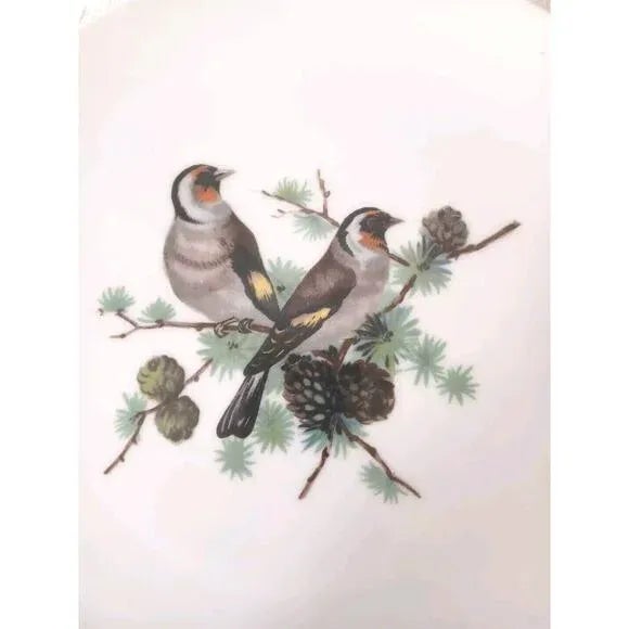 Realism 1950s 4 Pc Andrea by Sadek Bird 8" Plate White Salad Cake Nature Sparrow #9050 Bavaria For Sale - Image 3 of 13