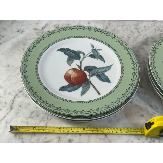 Ceramic 1980s Andrea by Sadek Winterthur Adaptation Botanical Dinner Plates – Set of 14 For Sale - Image 7 of 13