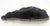 Petrified Wood Liver Shape Solid Black Elongated Bowl Dish Large Plate Ashtray For Sale - Image 4 of 7