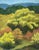 "Poplar Grove, Ft. Lewis, Bath County Virginia " Contemporary Landscape Oil Painting by Teresa DiMarco For Sale