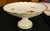 Antique White Limoges France Gold Rose Dessert Server For Sale - Image 8 of 9
