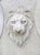 Italian Carved White Marble 3-Piece Wall Fountain With Lion Mascaron, 20th C. For Sale - Image 12 of 18
