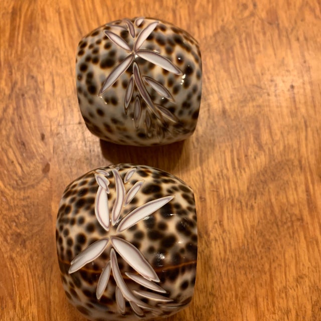 Hand carved cowrie sea shell napkin rings Set of six napkin rings Each napkin ring has a botanical carving on the top.
