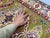 Olive Green, Red and Cream Kazak Wool Runner Rug, 2'11" X 9'9" For Sale - Image 15 of 18