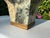 Late 20th Century Vintage British Colonial Botanical Decoupage Square Cachepot With Antiqued Gold Trim For Sale - Image 5 of 10
