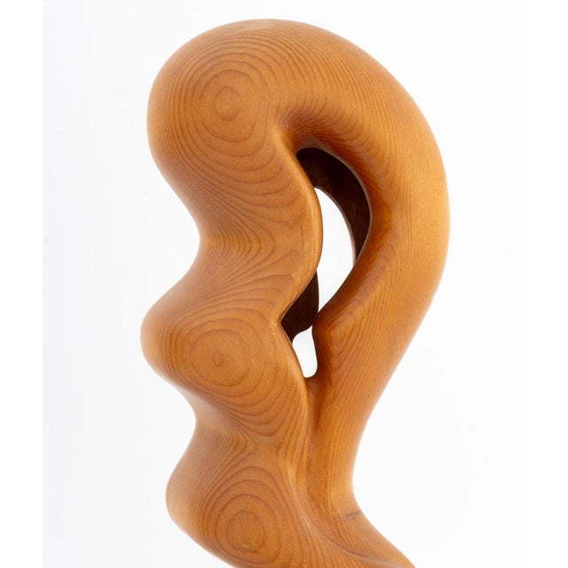 Late 20th Century Modernist Biomorphic Wood Revolving Sculpture For Sale - Image 4 of 8