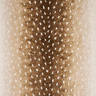 Schumacher Axis Velvet Fabric in Fawn For Sale