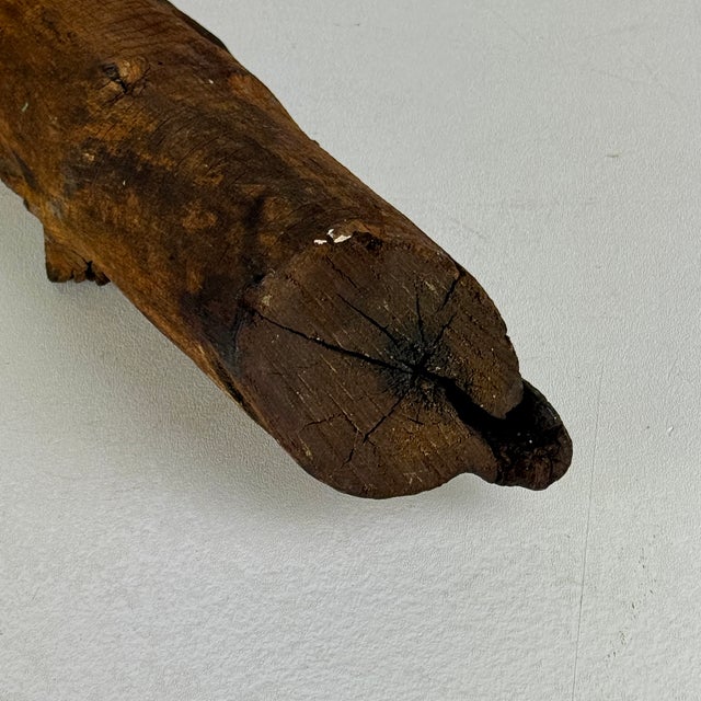 Wood Vintage Natural Wood Log Specimen With Unusual Growth Development, Sculpture For Sale - Image 7 of 8