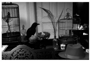 Early 21st Century "All Is Not As It Seems from the Leon Eyrie Series" Digital Fiber Print by Lauren Bilanko