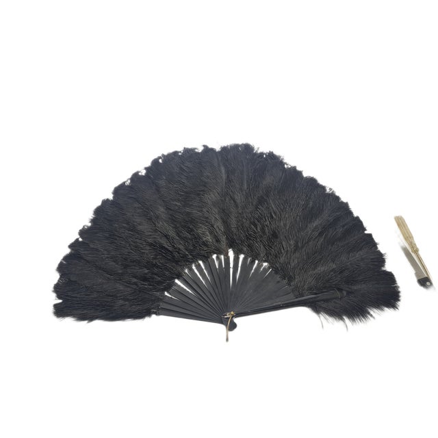 Black Art Deco Polish Autriche Feather Fan, 1920s For Sale - Image 8 of 16