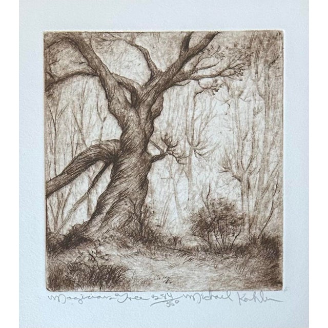 Vintage Etching Entitled ‘Magicians Tree’s’ by Michael Kohler Matted and Framed For Sale - Image 4 of 7