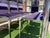 1970s Postmodern Italian Chrome & Glass Dining Table + 8 Chairs For Sale - Image 6 of 16