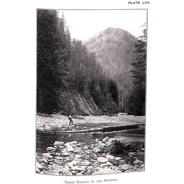 Traditional "The Complete Science of Fly Fishing and Spinning" 1915 Shaw, Fred G. For Sale - Image 3 of 12