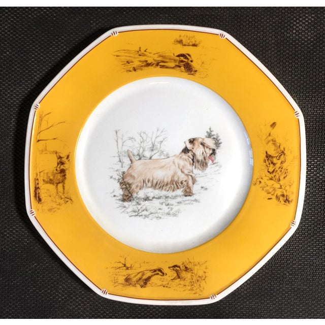 Porcelain Plate by Hermès for Limoges For Sale - Image 5 of 5