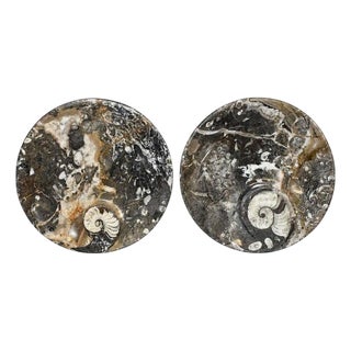 Pair Large Ammonite Plates 6.25" Millions Years Fossil For Sale