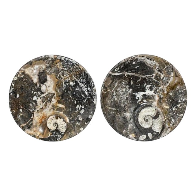 Pair Large Ammonite Plates 6.25" Millions Years Fossil For Sale