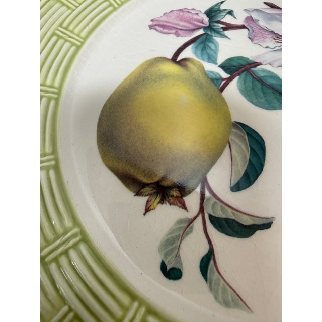 Niderviller Botanique Dessert Plates, Set of Four For Sale - Image 12 of 12