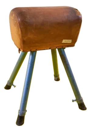 Gym Exercise Horse